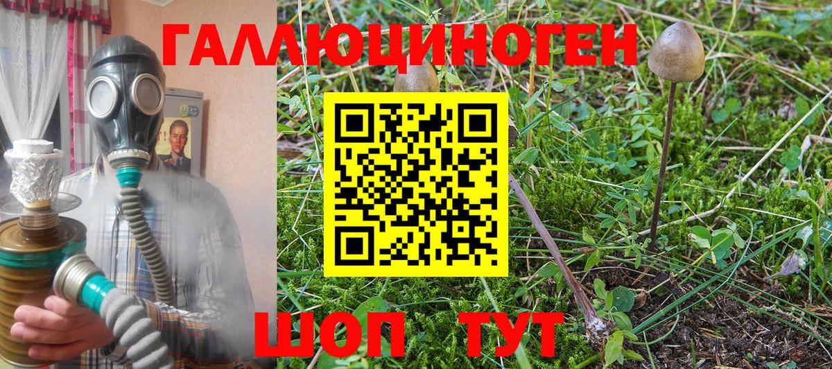 Галлюциногенные грибы Magic Shrooms  Галлюциногенные грибы прущие грибы  Вход с VPN  Чистополь 