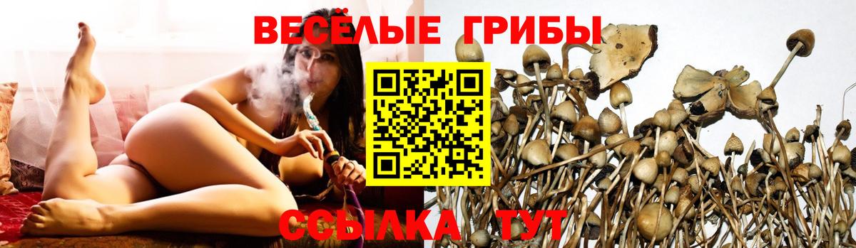 Галлюциногенные грибы прущие грибы Чистополь